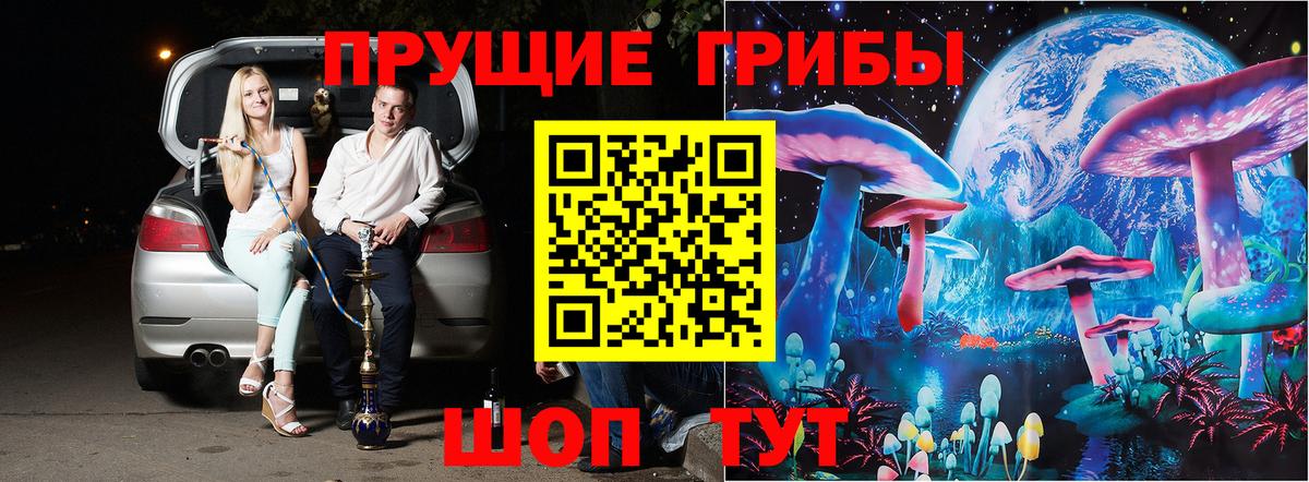 Псилоцибиновые грибы Psilocybine cubensis Карпинск